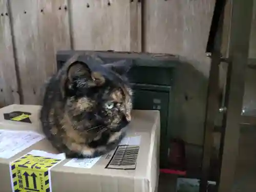 小松寺(千葉県)