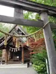 平岸天満宮・太平山三吉神社の本殿