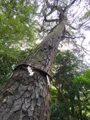 第六天神社(神奈川県)
