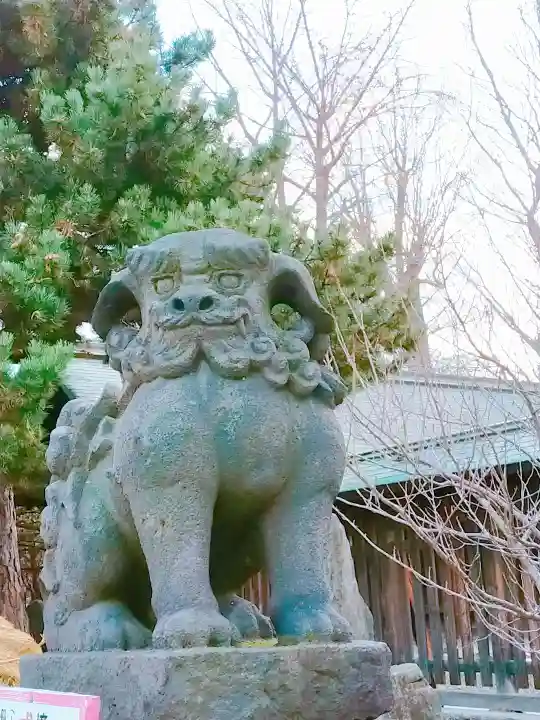 札幌護國神社の狛犬