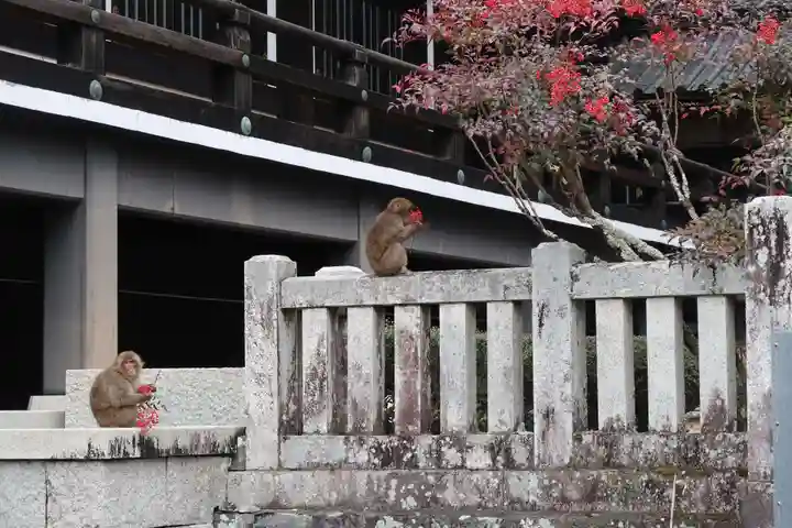 久遠寺(山梨県)
