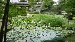 天台宗　長窪山　正覚寺の庭園