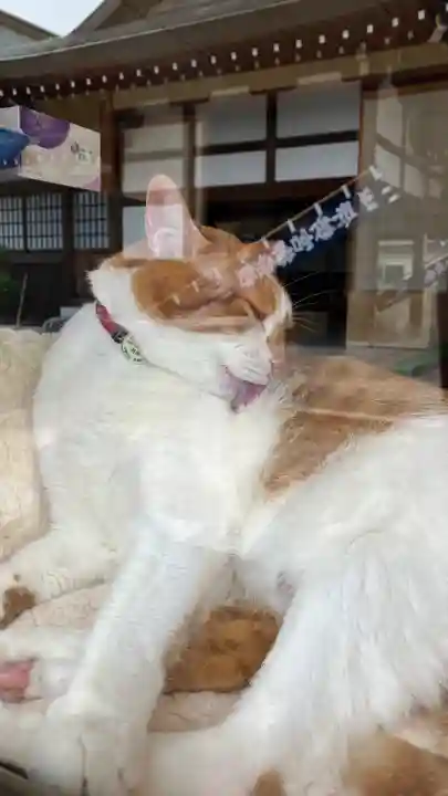 伊勢神社(岡山県)