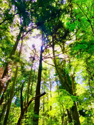 香取神宮(千葉県)