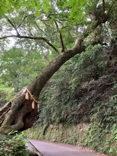 笠森寺(千葉県)