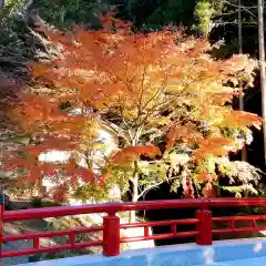 尊永寺(静岡県)