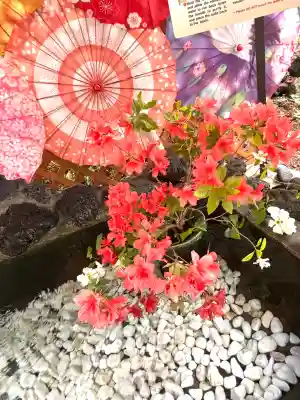 虻田神社の{uncategorized: "未分類", other: "その他", undefined: "問題あり", building: "その他建物", grave: "お墓", sacred_gate: "鳥居", guardian: "狛犬", statue: "像", buddha: "仏像", history: "歴史", nature: "自然", garden: "庭園", animal: "動物", pagoda: "塔", temizu: "手水舎", mountain_gate: "山門・神門", sanctuary: "本殿・本堂", subordinate: "末社・摂社", art: "芸術", scenery: "景色", jizo: "地蔵", ema: "絵馬", goshuin: "御朱印", omikuji: "おみくじ", items: "授与品その他", amulet: "お守り", goshuincho: "御朱印帳", eats: "食事", festival: "お祭り", votive_dance: "神楽", shichigosan: "七五三参", wedding: "結婚式", experience: "体験その他", initially: "初詣", around: "周辺", anti_infection: "感染症対策"}