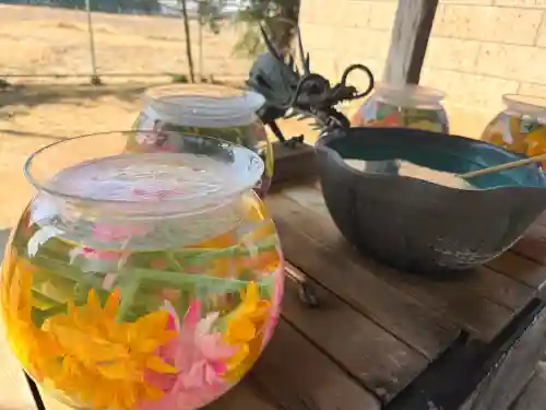 素鵞神社の{uncategorized: "未分類", other: "その他", undefined: "問題あり", building: "その他建物", grave: "お墓", sacred_gate: "鳥居", guardian: "狛犬", statue: "像", buddha: "仏像", history: "歴史", nature: "自然", garden: "庭園", animal: "動物", pagoda: "塔", temizu: "手水舎", mountain_gate: "山門・神門", sanctuary: "本殿・本堂", subordinate: "末社・摂社", art: "芸術", scenery: "景色", jizo: "地蔵", ema: "絵馬", goshuin: "御朱印", omikuji: "おみくじ", items: "授与品その他", amulet: "お守り", goshuincho: "御朱印帳", eats: "食事", festival: "お祭り", votive_dance: "神楽", shichigosan: "七五三参", wedding: "結婚式", experience: "体験その他", initially: "初詣", around: "周辺", anti_infection: "感染症対策"}