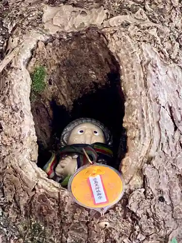 徳島眉山天神社の狛犬