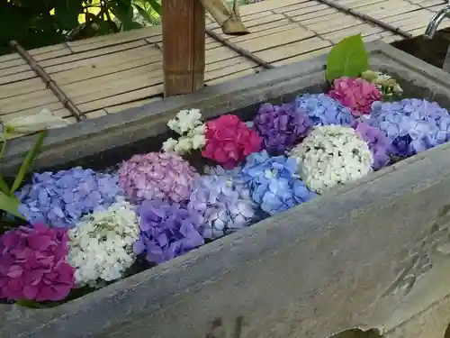 真野寺の手水舎