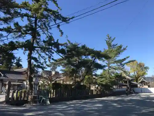 阿蘇神社の建物その他