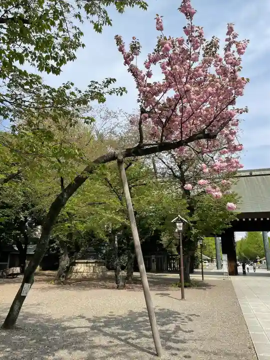 靖國神社の自然