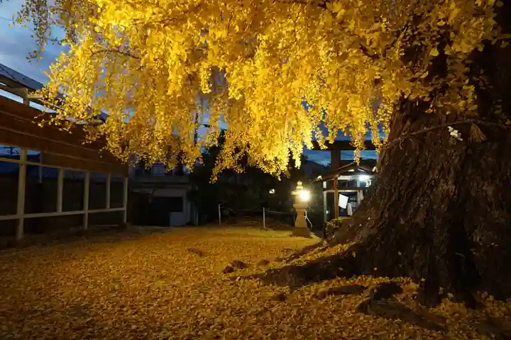 丹生酒殿神社のその他建物