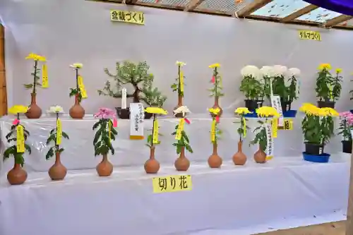 普光寺(新潟県)