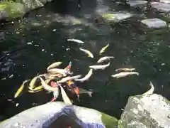 玉簾神社の庭園