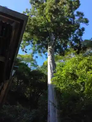 山王神社のその他建物