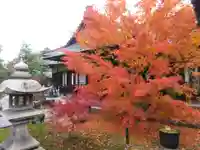 勝林寺の自然