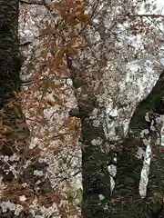 素鵞神社(茨城県)