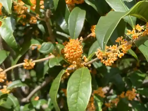 吉祥院(東京都)