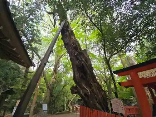 水谷神社(奈良県)
