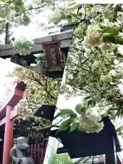 柳森神社(東京都)