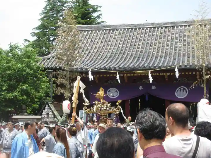 浅草神社のお祭り