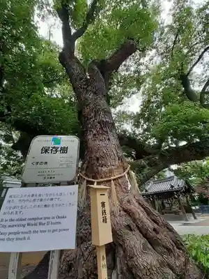 難波神社(大阪府)