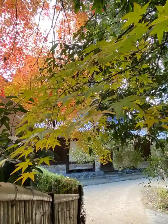 曹源寺(岡山県)