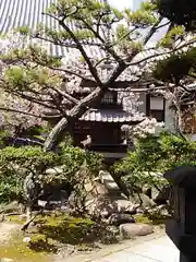 圓通寺の庭園