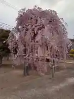 法運寺(宮城県)