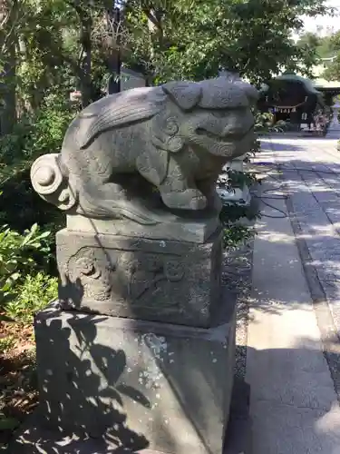 菊田神社の狛犬