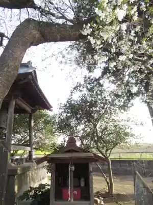 満福寺(千葉県)