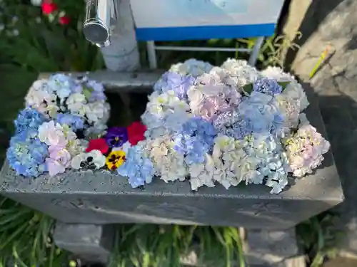 身代り不動尊　大明王院　川崎別格本山の手水舎