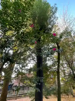 若宮神明社(愛知県)