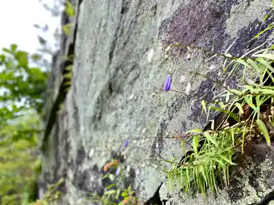 高峯神社(大室神社奥宮)の自然