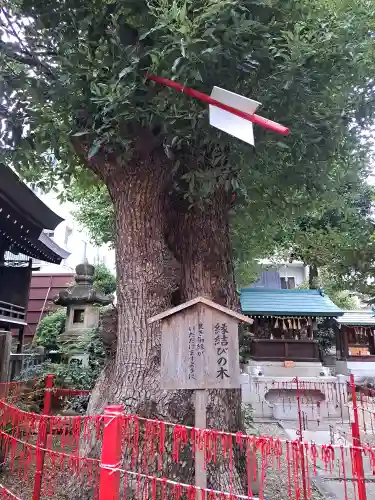 三輪神社(愛知県)