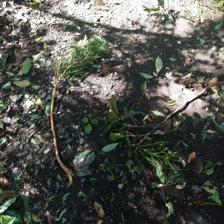 沼尾神社の自然