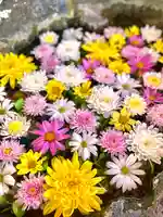 伊達神社の手水舎