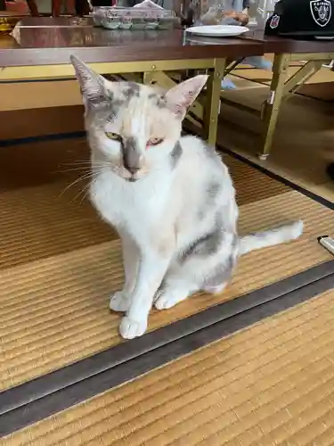 一心寺・一心禅寺の動物