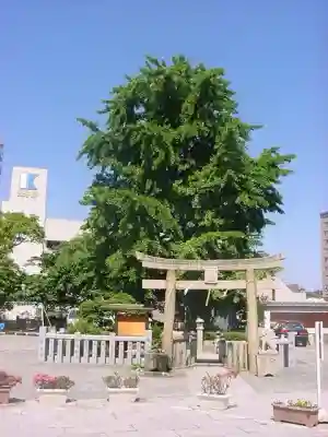 お亀明神社(山口県)