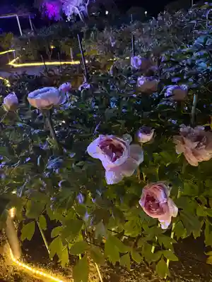 金蛇水神社(宮城県)