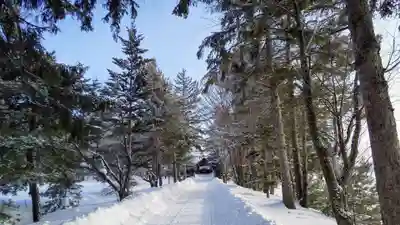 神楽神社の周辺
