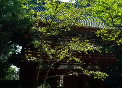 久能山東照宮(静岡県)