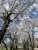 笹八木社(子檀嶺神社境内社)の自然