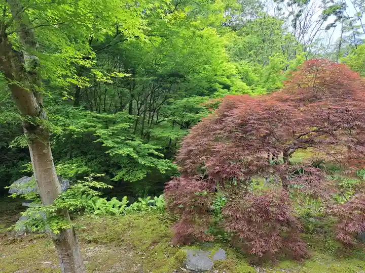神勝寺(広島県)
