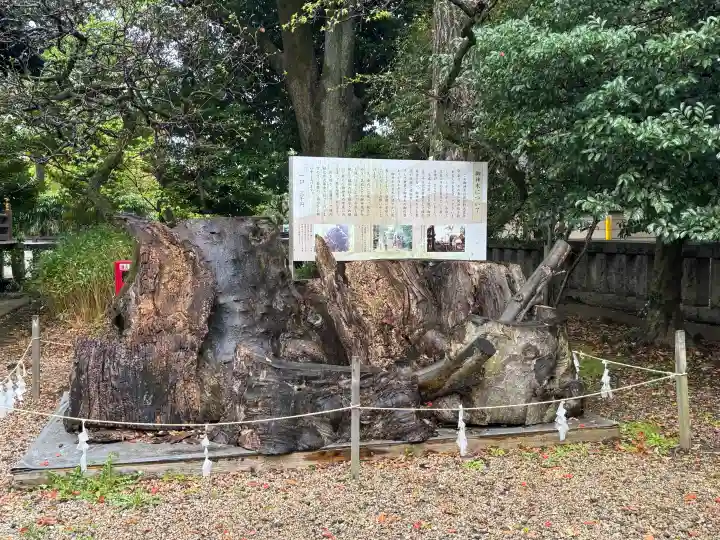 布多天神社の{uncategorized: "未分類", other: "その他", undefined: "問題あり", building: "その他建物", grave: "お墓", sacred_gate: "鳥居", guardian: "狛犬", statue: "像", buddha: "仏像", history: "歴史", nature: "自然", garden: "庭園", animal: "動物", pagoda: "塔", temizu: "手水舎", mountain_gate: "山門・神門", sanctuary: "本殿・本堂", subordinate: "末社・摂社", art: "芸術", scenery: "景色", jizo: "地蔵", ema: "絵馬", goshuin: "御朱印", omikuji: "おみくじ", items: "授与品その他", amulet: "お守り", goshuincho: "御朱印帳", eats: "食事", festival: "お祭り", votive_dance: "神楽", shichigosan: "七五三参", wedding: "結婚式", experience: "体験その他", initially: "初詣", around: "周辺", anti_infection: "感染症対策"}