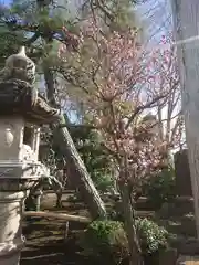 長松寺(神奈川県)