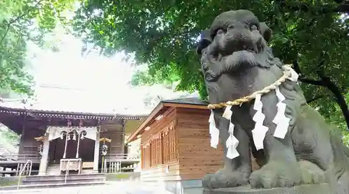 氷川神社の狛犬