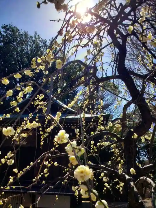 布多天神社(東京都)