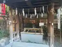 東京大神宮の手水舎